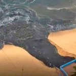 México: Aguas negras manchan codiciada playa de Acapulco (VIDEO) mexico