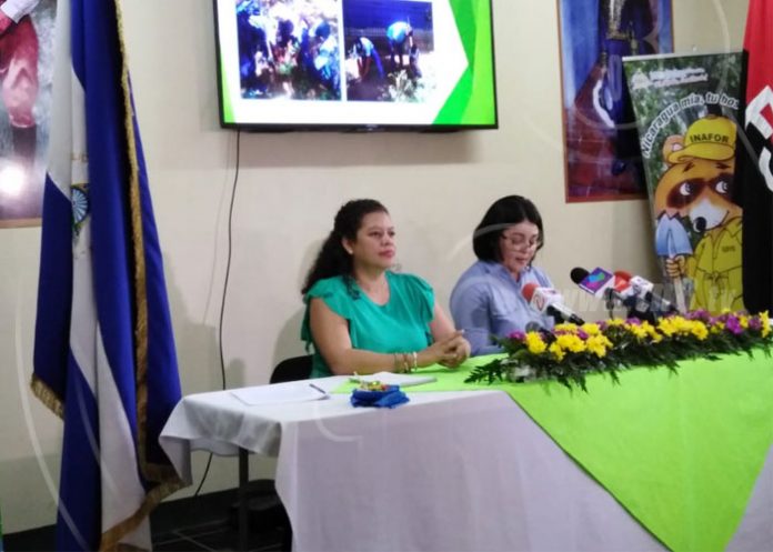 miam1 nicaragua