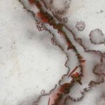 Descubren microbios desconocidos para la ciencia en la Estación Espacial ciencia