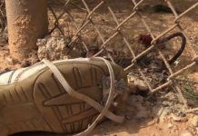 Inmigrante muere en un accidente en la frontera tras persecución estados unidos
