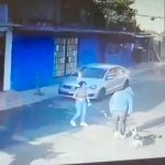 Perrito defiende a su dueña de un ladrón en Tlalpan, México (VIDEO) mexico