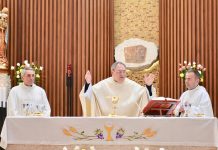 España: Obispos admiten «silencio cómplice» de la Iglesia con la pederastia espana
