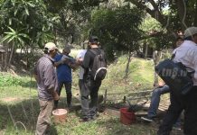 Promocionan en Río Blanco el cultivo de peces en estanques nicaragua