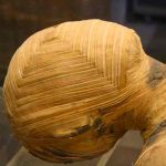 polonia, ciencia, momia, arqueologia,