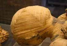 Científicos anuncian descubrimiento de momia egipcia embarazada polonia, ciencia, momia, arqueologia,