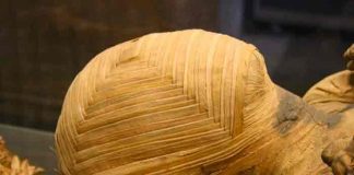 polonia, ciencia, momia, arqueologia,