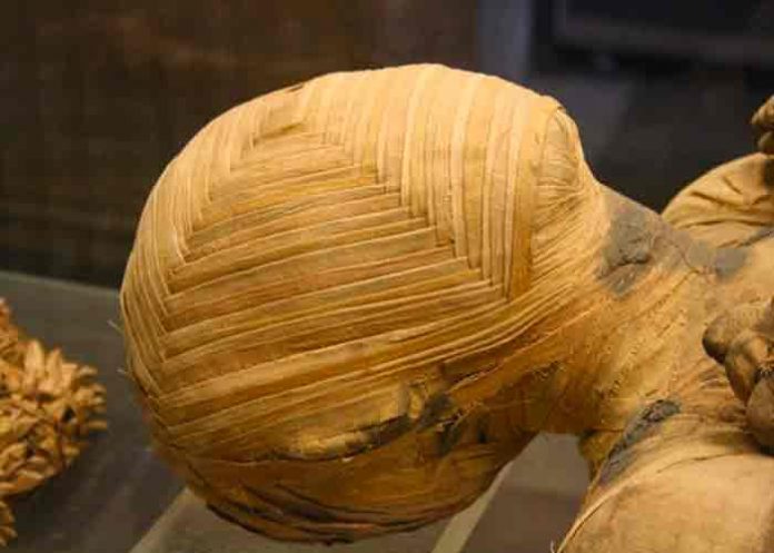 polonia, ciencia, momia, arqueologia,