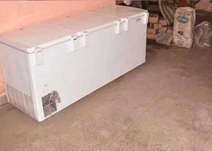 momificado republica checa