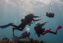 Recuperan tesoro de oro 180 años después de su extravío en el mar estados unidos