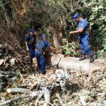 Decomisan madera ilegal en la Isla de Ometepe