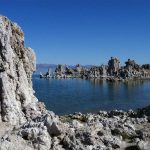 Descubren una extraña especie de gusano con tres sexos ciencia