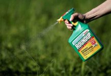 EE.UU: Monsanto deberá pagar 2 mdd a pareja que contrajo cáncer estados unidos