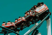 El increíble choque de un ave contra el rostro de una mujer en una montaña rusa