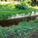Cae en cauce cuando rozaba monte en una vivienda del barrio Domitila Lugo nicaragua