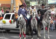 Realizan desfile hípico en honor al 156 aniversario de la ciudad de Matagalpa desfile hipicio