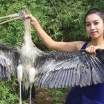 Mujer se dedicó a comer animales en riesgo de extinción para ser famosa camboya