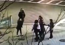 «¡Esto es América, habla inglés!»: Golpean a madre e hija por hablar en español nicaragua