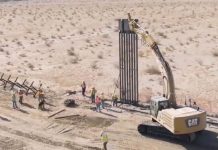 Obras del muro de Trump amenazan especies en extinción en Arizona nicaragua