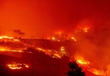 Obras del museo Getty se salvan de incendio en Los Ángeles estados unidos