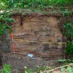 Arqueólogos encuentran en Nicaragua el entierro humano más antiguo del mundo nicaragua