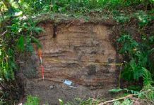Arqueólogos encuentran en Nicaragua el entierro humano más antiguo del mundo nicaragua