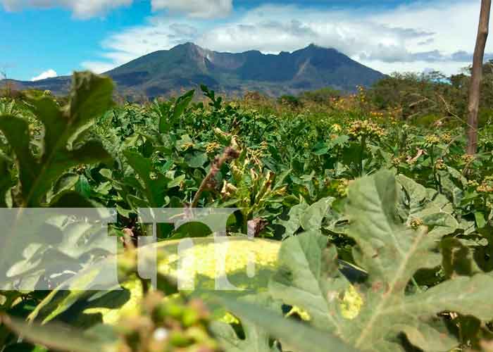 n1_iN5yRwE nicaragua