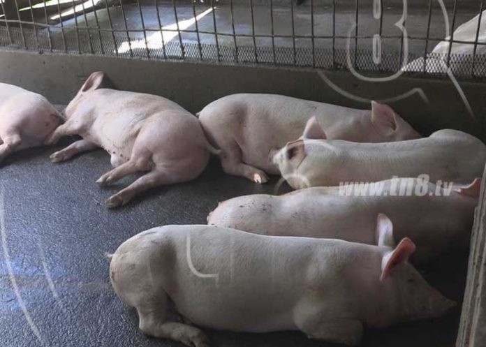 nan-6_rp9ODRT nicaragua