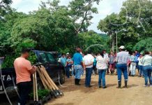 Campaña de reforestación en la cuenca del río Ochomogo