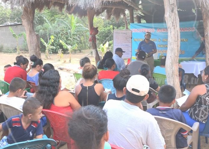 nandaime-produccion-3 nicaragua