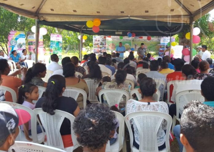 nandaime-semilla-03 nicaragua