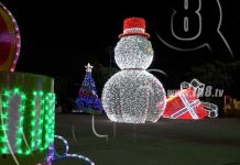 Áreas públicas de Managua casi listas con luces y adornos navideños