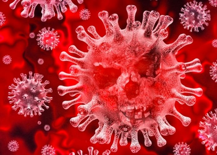 navirus_ocoQzYI nicaragua