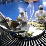 Nestlé: Nicaragua es un país de oportunidades nicaragua