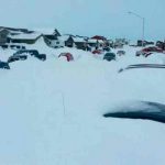 Histórica tormenta paraliza partes de Colorado y Wyoming estados unidos