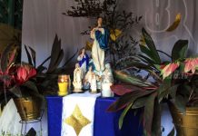 ¿Quién causa tanta alegría? ¡La Concepción de María! virgen maria