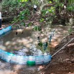 León trabaja en protección al medio ambiente con una Nicabarda nicaragua