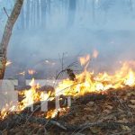 Incendios forestales en Estelí disminuyeron con estrategias gubernamentales nicaragua, incendio, esteli, prevencion, forestal,