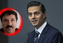 Testigo afirma que El Chapo sobornó al expresidente Peña Nieto con 100 mdd estados unidos