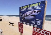 Niña es mordida por un tiburón en una playa de Florida estados unidos