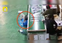 Niño es chupado por una cinta transportadora (VIDEO) video