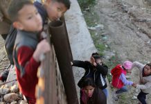 Autopsia: Niño guatemalteco murió de influenza en EE.UU. nino guatemalteco