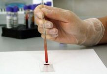 Descubre que su tío es en realidad su padre por una clase de biología clase de biologia