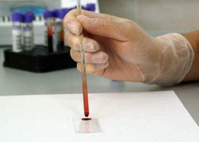 nn_DwgUngo clase de biologia