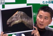 Hallan en Japón nuevo dinosaurio de hace 72 millones de años
