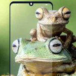 El «FrogPhone», el teléfono que permite a científicos llamar a las ranas redes