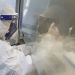 Científicos descubren seis nuevos coronavirus en murciélagos murcielagos