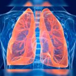 Hallazgo sobre los telómeros permite entender mejor la fibrosis pulmonar especies