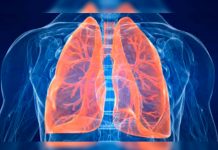 Hallazgo sobre los telómeros permite entender mejor la fibrosis pulmonar especies