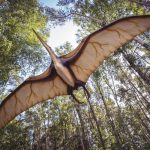 Descubren en Australia los restos de un reptil prehistórico volador descubrimiento