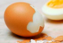 Anciano contrajo parásito que dejó sus testículos como cáscara de huevo enfermedad
